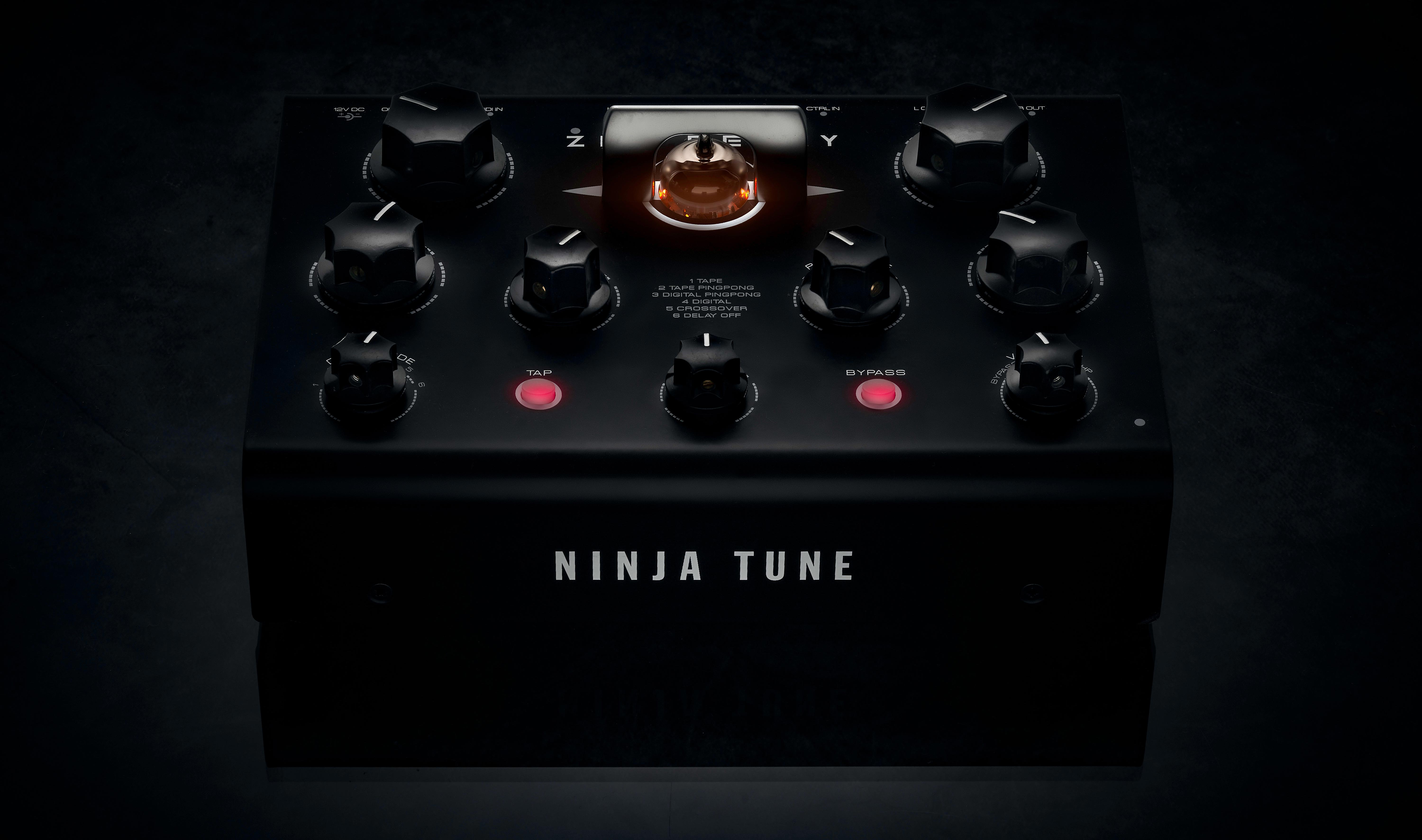 Neu: Ninja Tune + Erica Synths = Dub Delay