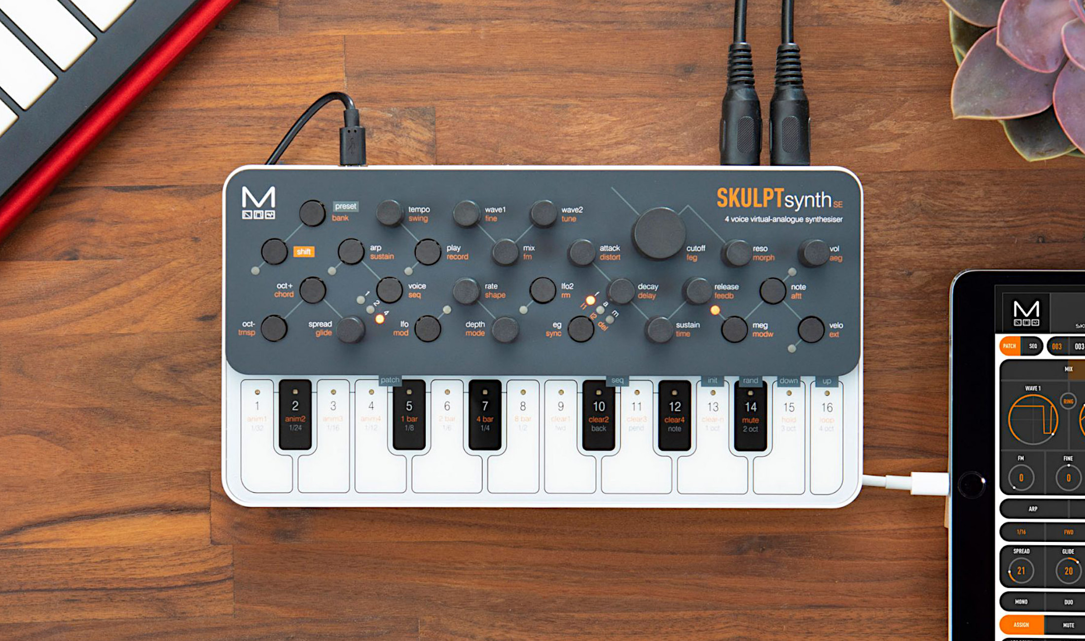 SKULPTsynth SE: Vierstimmiger VA-Synthesizer von Modal Electronics